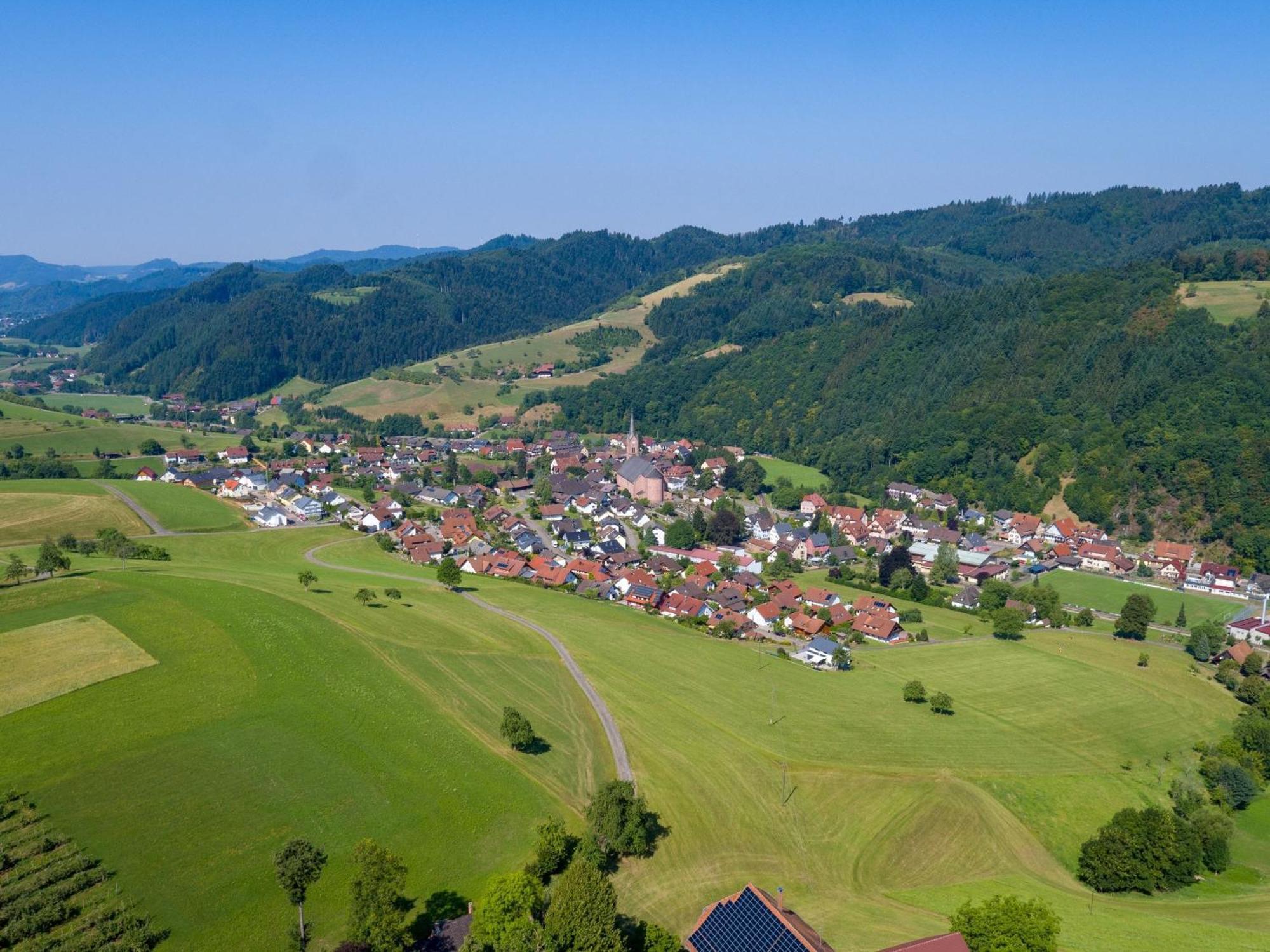 Ferienwohnungen Golla-Lang Oberharmersbach Eksteriør bilde